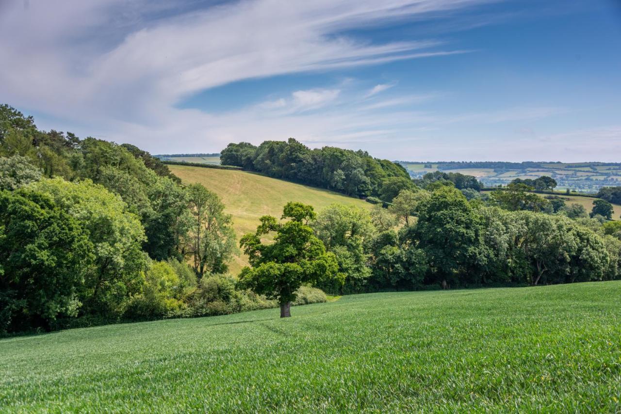 Valley Farm Holiday Cottages Axminster Buitenkant foto